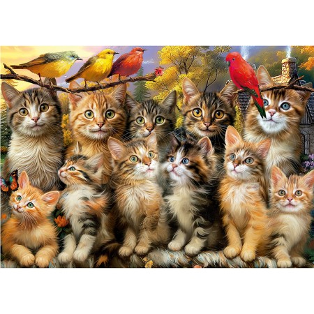 Puzzle Educa Chatons et Oiseaux – 500 pièces Puzzles Educa - 1
