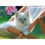 Puzzle Ravensburger Chaton Blanc XXL de 200 Pièces Ravensburger - 2