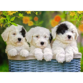 Puzzle Ravensburger Chiots Câlins XXL de 200 Pièces Ravensburger - 1