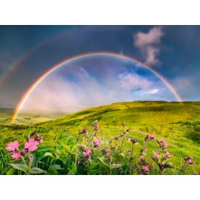 Puzzle Ravensburger Arc-en-ciel Spectaculaire de 1500 Pièces Ravensburger - 1