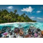 Puzzle Ravensburger La Plongée aux Maldives de 2000 Pièces Ravensburger - 1