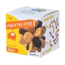 Brain Puzzle Nº 02 : Lobe Pariétal - Casse-tête Recent Toys Recent Toys - 1