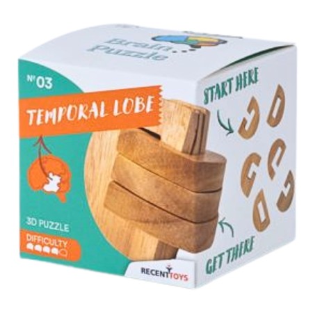 Brain Puzzle Nº 03 : Lobe Temporal - Casse-tête Recent Toys Recent Toys - 1