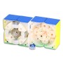 GAN 251 M Leap UV Coated Gan Cube - 5