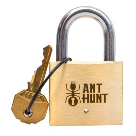 Ant Hunt : Chasse aux Fourmis - Casse-tête Cadenas PuzzLocks PuzzLocks - 1