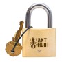 Ant Hunt : Chasse aux Fourmis - Casse-tête Cadenas PuzzLocks PuzzLocks - 1