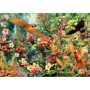 Puzzle Educa Oiseaux d'Amazonie de 2000 Pièces Puzzles Educa - 1