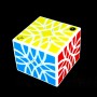 Carl’s Bubbloid 5x5x4 - Calvins Puzzle