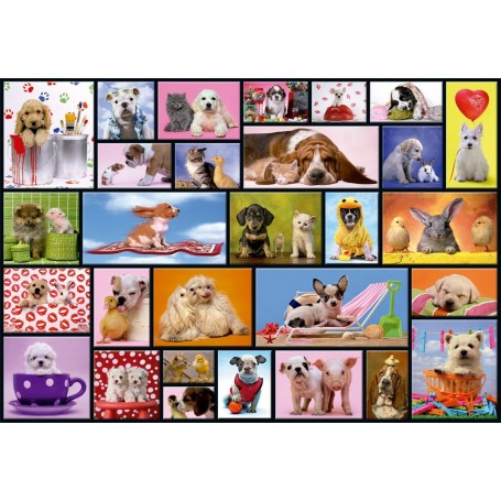 Puzzle Educa Shared Moments 1000 Pieces - Educa Puzzles