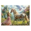 Puzzles de fées 500 pièces