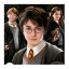 Puzzles Harry Potter 1000 pièces